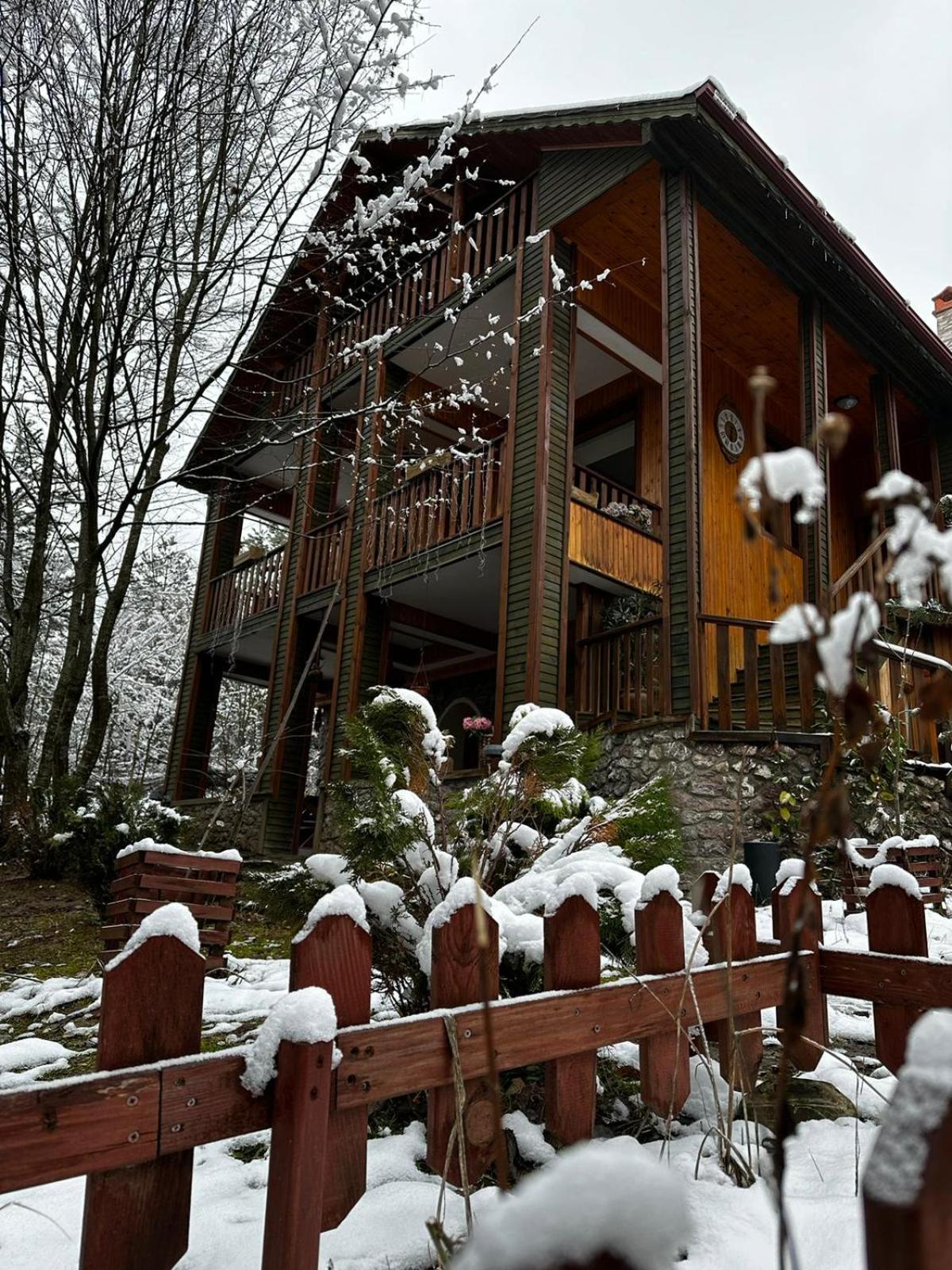Abant Korudam Bungalov Butik Otel Экстерьер фото
