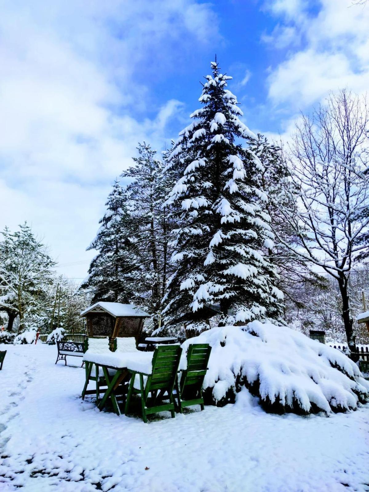 Abant Korudam Bungalov Butik Otel Экстерьер фото